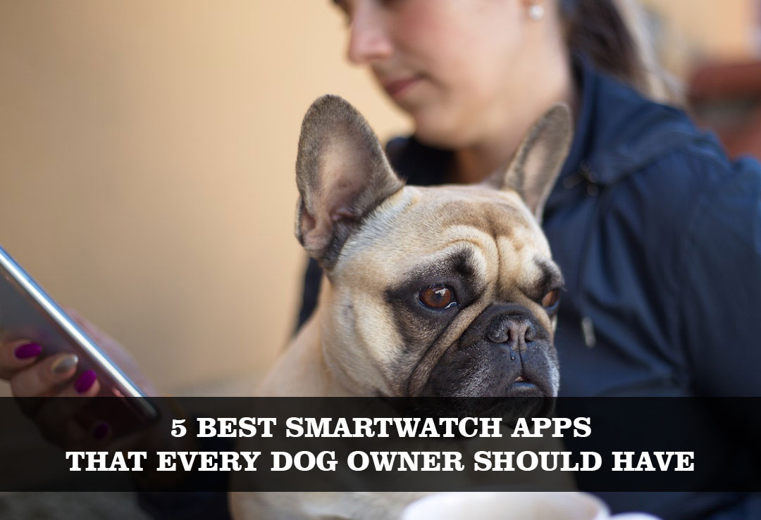 5 Best Smartwatch Apps That Every Dog Owner Should Have